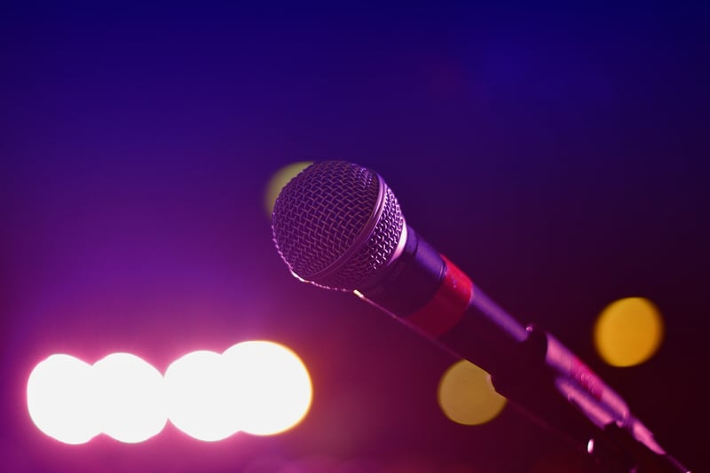 Karaoke Singer